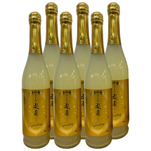 L[6° Xp[NO500ml@6{ZbgyV𑢁zyz