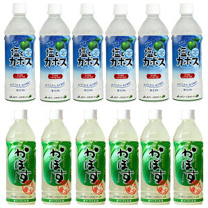 ƃJ{X 495ml×6{ƂڂhN 500ml×6{̌v12{Zbg WFCGCt[Y 