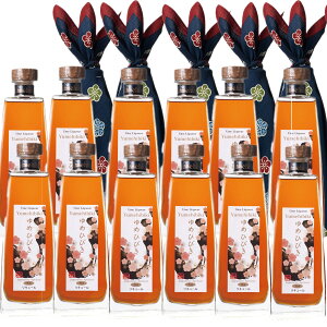 ߂ЂтC~Et 500ml 20x ×12{Zbgyz~