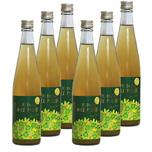 V̌ ڂ~ 500mlL[8° 6{Zbg V