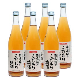 南高梅のこだわり梅酒 14° 720ml×6本セット箱ナシ おおやま夢工房