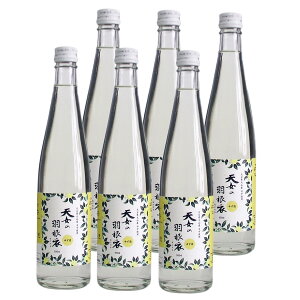 V̉H߂䂸 16x 500ml 6{Zbg