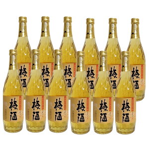 ʏ ܂̔~ ̔~ 14x 720ml 12{Zbg