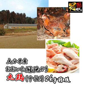 nǂi啪Yjی{ij2kgO×2Zbg