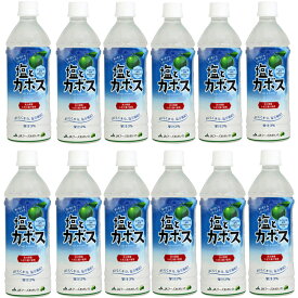 塩とカボス 495ml×12本 お試しセット ジェイエイフーズ 送料無料