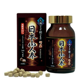 日本山人参 5年根 錠剤300mg240粒入り 2個セット 送料無料 キャンセル不可 代引き不可