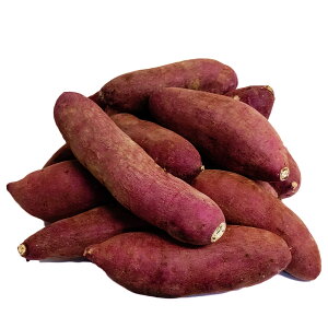 Ñ 2.5kg 2025N12{菤iJn   JA Ε Ε g͂邩 Ă Ĉ Ï FETc}C  啪̌ւ鍂x܂ VR̃XC[c