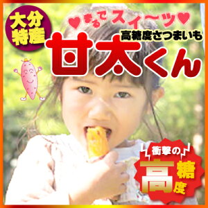 Ñ 5kg Gi x܂ 2P[XZbg 2025N12{菤iJn \t  Ε Ε JA  g͂邩 Ă Ĉ Ï F Tc}C