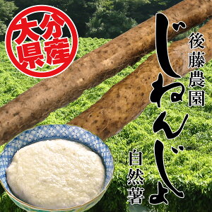 ̎R 1.5kg 㓡_ ҂̎R R˂񂶂 啪Y  s s yΉ Ήn̂