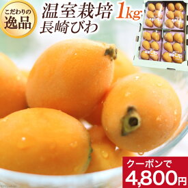 楽天市場 99 びわ フルーツ 果物 食品の通販 楽天市場 99 びわ フルーツ 果物 食品の通販