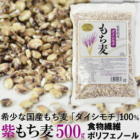 紫もち麦 500g 国産 ダイシモチ使用 食物繊維 ポリフェノール β-グルカン もちもち食感 自然食品 大麦 押し麦