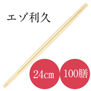 蔢  100V BH@G]24v ĝ H 21 HX