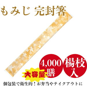 ݂ 4,000V AXy\  ĝ Ɩp 킢 H gt Cxg eCNAEg ٓ HX SK-2(c)