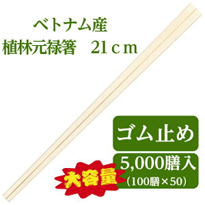 BH xgiAь\ 5,000V 100VS×50 21 ĝ 蔢 HX e Ɩp VG-004