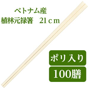 BH xgiAь\ 100V 21 ĝ 蔢 HX e VG-104