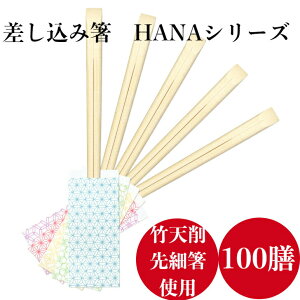 BH דV 蔢(ܓ) HANA~j  ~  ̗t  100V |21cm  a Ɩp { HX     HANA-H