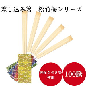 BH 蔢(ܓ) |~V[Y G]8V EG     100V  a HX    ze  SYO-H