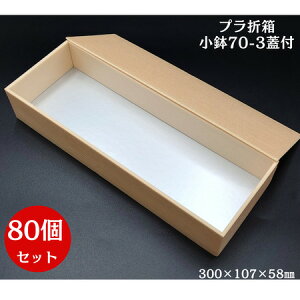 P[XłIyAܔz70-3i ؖڕ Wti80Zbgj300mm×107mm×58mm
