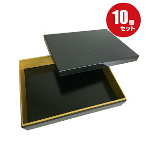 y܁zM21-30  Wti10j295×220×60mm