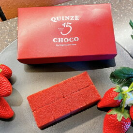 【SS大特価】いちごのショコラテリーヌ&生チョコセット　とろける苺ショコラ　カーンズ濃厚ショコラテリーヌ