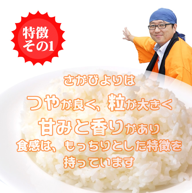 無洗米 プロが選ぶ厳選一等米 食味ランク 特A さがびより 2合 お試しパック 精米 佐賀県産
