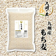 【スーパーセール期間ポイント5倍】送料無料 九州産 もち麦 チャック付き【15kg 20kgは、沖縄・北海道発…