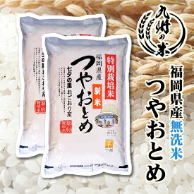 【お買い物マラソン当店ポイント2倍】【令和5年産】送料無料 無洗米 減農薬 つやおとめ 10kg（5kg×2袋）