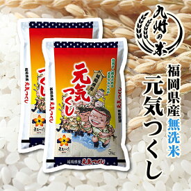 【お買い物マラソンポイント2倍】【100％ 令和7年産】送料無料 無洗米 【4年連続特A受賞】福岡県産元気つくし10kg（5kg×2袋）【沖縄・北海道は別途送料プラス500円】