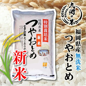 【令和7年産新米】送料無料 無洗米 減農薬 特別栽培米 つやおとめ 5kg【沖縄・北海道は別途送料プラス500円】