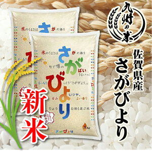 【令和7年産新米】送料無料 数量限定一等米 1等米 【15年連続特A受賞】佐賀県産さがびより10kg(5kg×2袋)【沖縄・北海道は別途送料プラス500円】