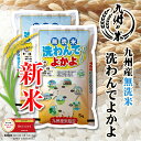 【令和7年産新米100％九州産】送料無料 無洗米 洗わんでよかよ10kg(5kg×2袋)【沖縄・北海道は別途送料プラス500円】