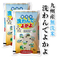 【100％ 令和7年産九州産】送料無料 無洗米 洗わんでよかよ10kg(5kg×2袋)【沖縄・北海道は別途送料プラ…