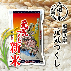 yߘa7NYVāz y4NAA܁zYC 5kgyEkC͕ʓrvX500~z