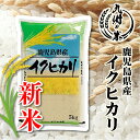 【令和7年産新米】送料無料 鹿児島県産イクヒカリ 5kg【沖縄・北海道は別途送料プラス500円】