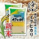 【令和7年産新米】送料無料 無洗米 鹿児島県産イクヒカリ10kg（5kg×2袋）【沖縄・北海道は別途送料プラス500円】