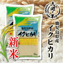 【令和7年産新米】送料無料 鹿児島県産イクヒカリ 10kg（5kg×2袋）【沖縄・北海道は別途送料プラス500円】