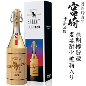 {iĒ@낤܃ZNg40x720mlr[t]