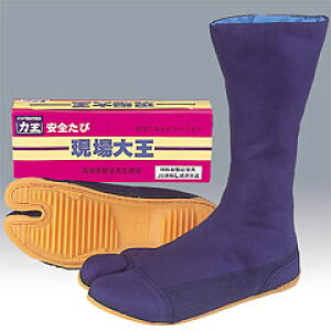 ͉ DtSn 剤10Rn[(c)  24-28cmyzy؁zyΐEz