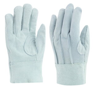 aR[|[V v No464 v wD(ȃXt) t[ O[ 12og@Ɨpv