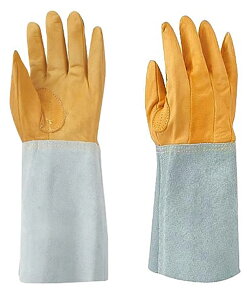 aR[|[V nڗp \v5{w W-115 461 t[ 12og@nڗpv