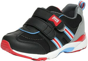 [X^[ LbgCARROT MS C2209 ubN 12178677 15cm-21cm 3E n[tTCYLqC