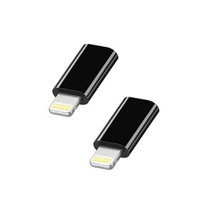 USB Type-C to Lightning変換アダプタ Type C to ライトニング 変換アダプタ iPhoneアダプタ データ転送 USB Type-C