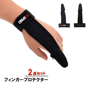 tBK[veN^[ 2Zbg ނ tBbVO tBK[K[h ނpi wK[h veN^[ O[u LXeBO jd-sp007