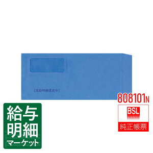808101N ^׏p J BSLVXe BSLTvC 500 