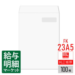 FK-23A5 򒥎[p J i100j BSLVXe BSLTvC 100 