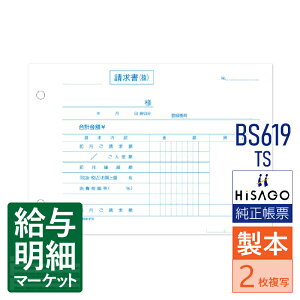 BS619TS v 2ʁiPƐŗLځjC{CXΉ HiSAGO qTS 110i500gj 150g {`[ 菑`[yTv񋟉z