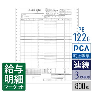 PB122G�i���i�ԁFPB122F�j ���^�U���˗��� PCA���^�v�Z�T�v���C PCA hyper���^ PCA���^ 800���� �A���p�� �h�b�g�v�����^�Ή��y�T���v���񋟉z