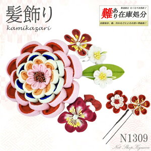 y݌ɏz󂠂  AEgbgZ[ ܂ݍ׍H ߂ a sN  ~  R[ ܎O 7 l 20 n[tl 10 Q Be