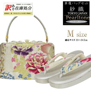 y󂠂菤iz ѐD obOZbg Up fB[X ѐD uh l Vo[ MTCY 23.5cm F  a  瑕 tH[} ђn {