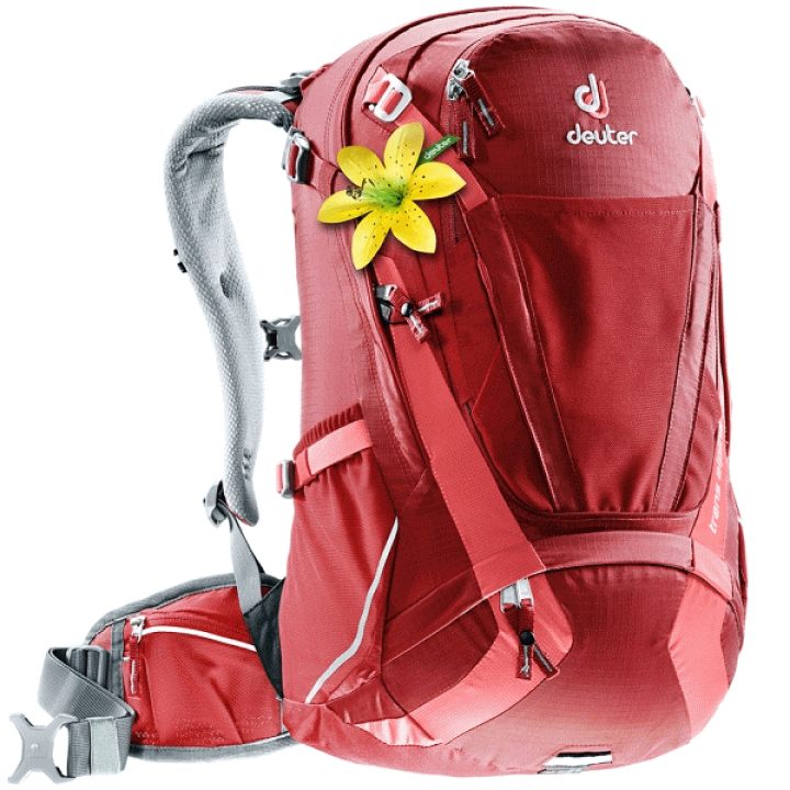 Deuter - 【カリン】ドイター トランスアルパイン28SL レディース トランス アルパイン 28 SL・3200224（バイク/トランス